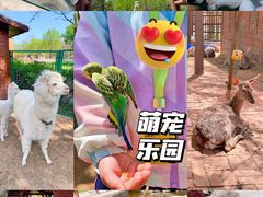 -南戴河国际娱乐中心