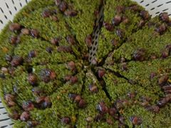 -蟹天蟹地农家菜·阳澄湖大闸蟹(浅水湾店)