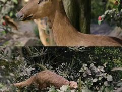-广东省博物馆