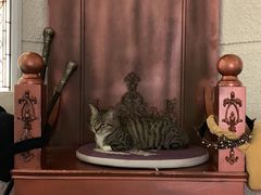 -逃脱反斗城沉浸剧情密室(北京路店)