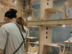 -BABIT巴比特宠物(MOMOPARK店)