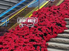 -万科生活广场(东莞松山湖店)