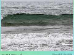 -元素中餐厅.海南菜.粤菜.椰子鸡.海鲜.包房.石梅湾威斯汀度假酒店