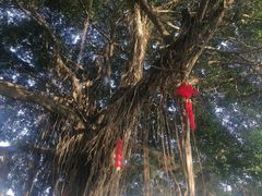 -船政文化景区-罗星塔公园