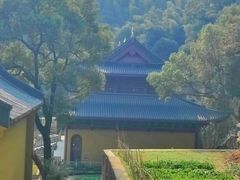 -东明山森林公园
