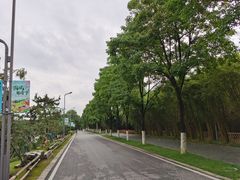 -武汉园博园(武汉自然博物馆)