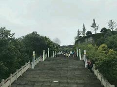 -铁山坪森林公园