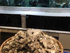 -盆满钵满·国家非遗传承(云台店)