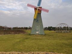 -漩门湾国家湿地公园