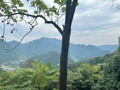 -富春桃源风景区