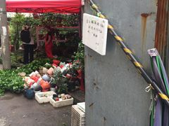 -潘玉麟糖粥
