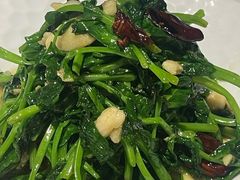 豌豆苗-湖鱼湖·蓉亭食贝(亚运村店)
