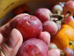 -北京索菲特大酒店