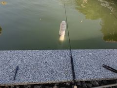 -DGE季风钓虾营地·团建·聚会