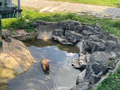 -深圳野生动物园
