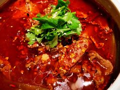 -雀蓝川菜(奥体广场店)