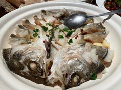 -单家老院·院子里的青岛菜(沙子口店)
