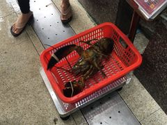 -蚝专家(北滘店)