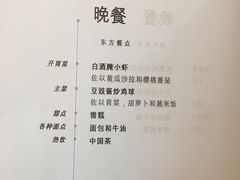 -新加坡航空公司(ION)