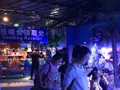 -白鹿仓冰雪海洋世界