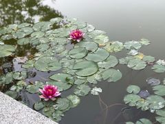 -西安华清御汤酒店