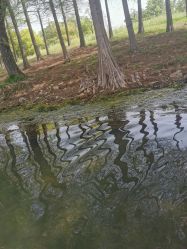 -剑鱼皮划艇俱乐部(石湖基地)