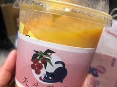 -果呀呀(国金街店)