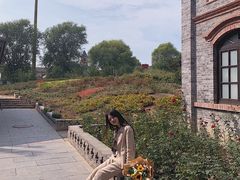 -台儿庄古城