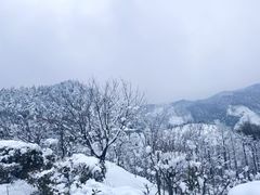 -四明山国家森林公园