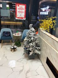 -MEMO Skin漫溯皮肤管理