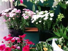 -美尚美鲜花(花情巧意花艺馆)