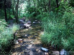 -碓臼峪自然风景区