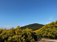-福清灵石山国家森林公园