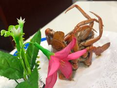 -鑫悦楼煎蟹·16年海鲜大排档