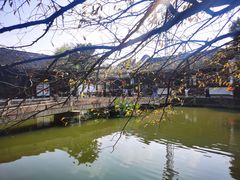 -丝绸小镇荻港古村