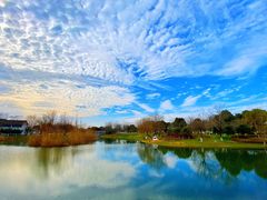 -尚贤河湿地