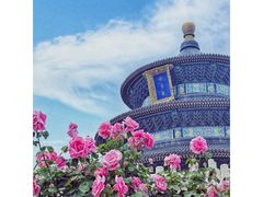 -天坛公园