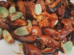 -金豆角砂锅焖面(安贞店)