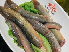 -洞子口重庆鲜货火锅(楚翘城旗舰店)