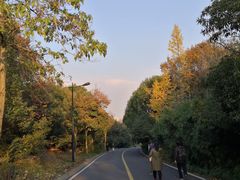 -宝界山林公园