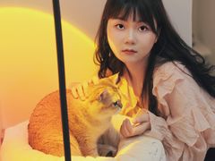 -More Fun猫咖 二十只万元加菲主题