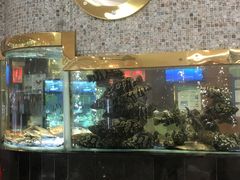-深圳龙华星河COCO City(民治店)