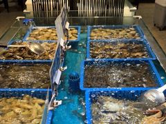 -御品海宴海鲜自助餐厅(龙岗万科广场店)