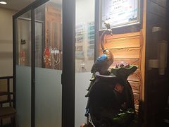 -竹雀古法采耳(青岛麦凯乐店)
