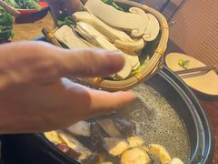 -滇野云南野生菌餐厅(陕西南路店)