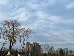 -府河摄影公园