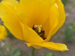 -长春公园(普阳街道)