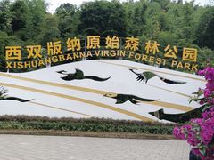 -西双版纳原始森林公园