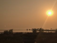 -合肥滨湖国家森林公园