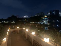 -深圳龙潭公园